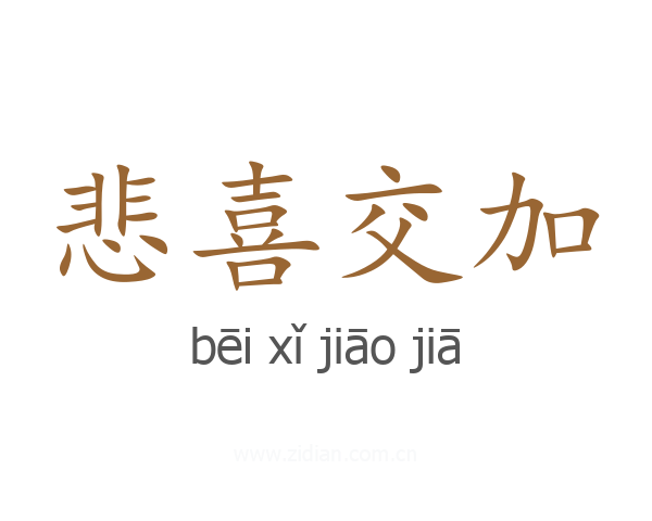 悲喜交加