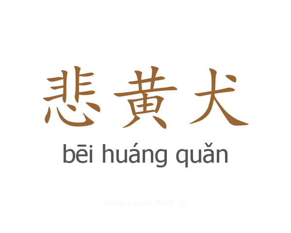悲黄犬