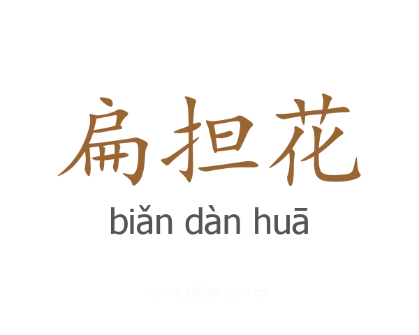 扁担花