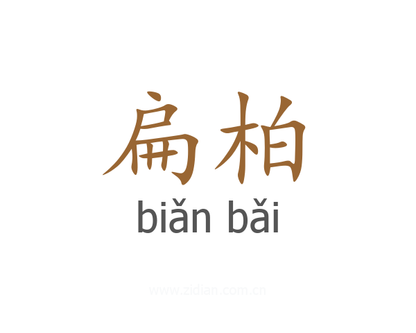 扁柏
