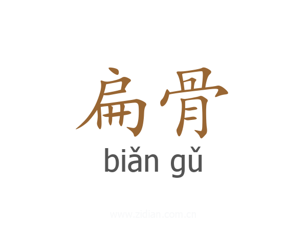 扁骨