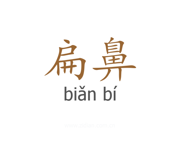 扁鼻