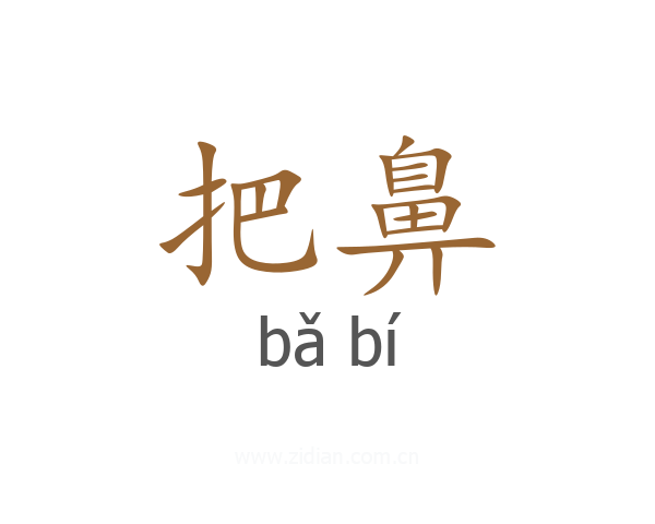 把鼻