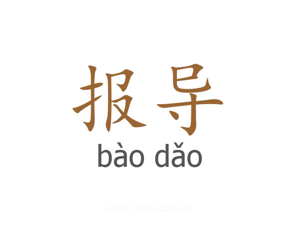 报导