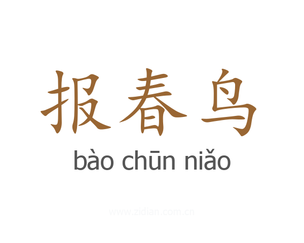 报春鸟