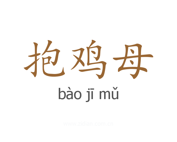 抱鸡母