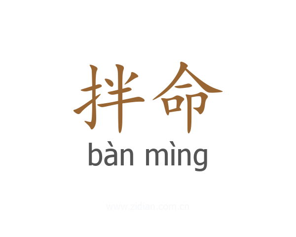 拌命