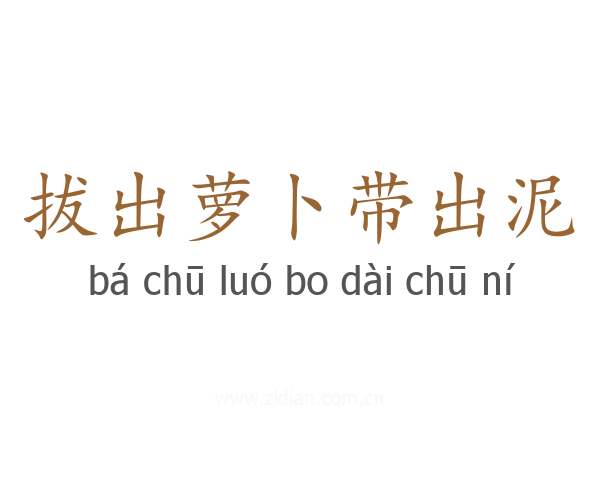拔出萝卜带出泥