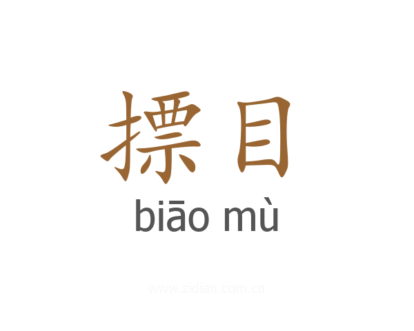 摽目