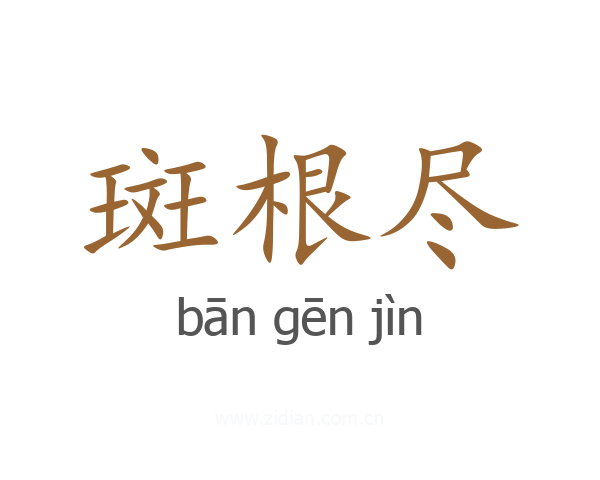 斑根尽