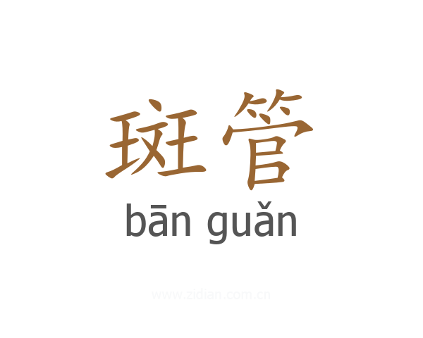 斑管