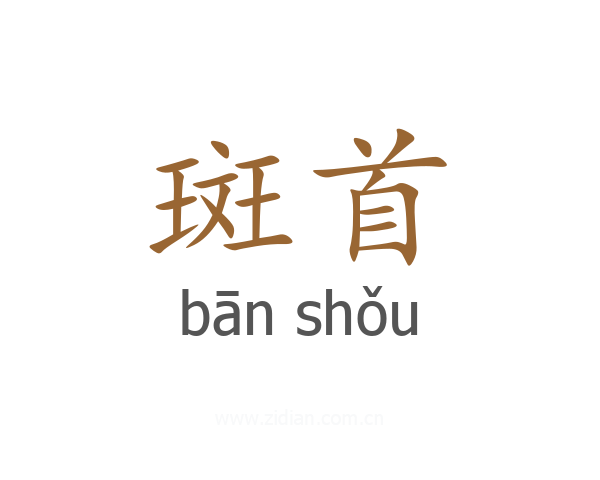 斑首