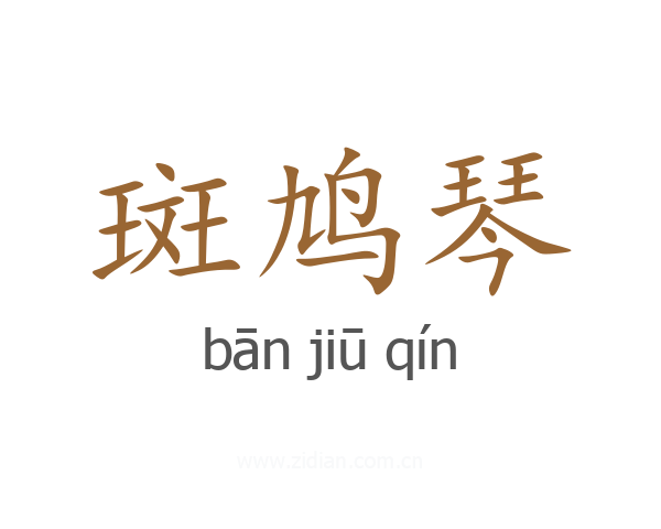 斑鸠琴