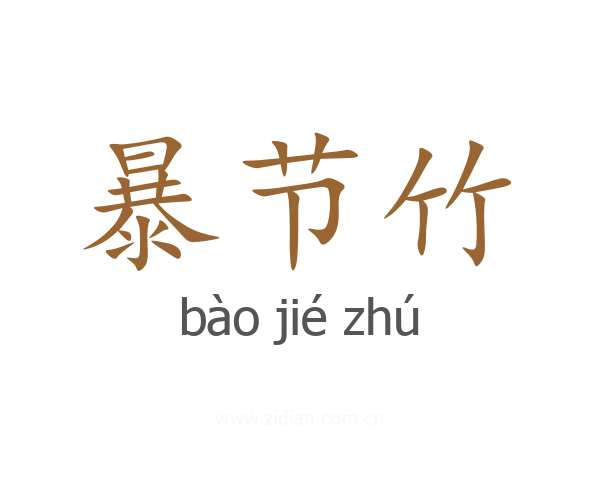 暴节竹