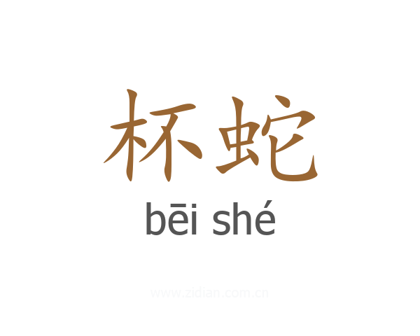 杯蛇