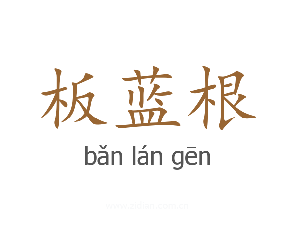 板蓝根