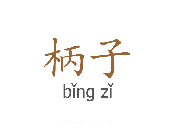 柄子