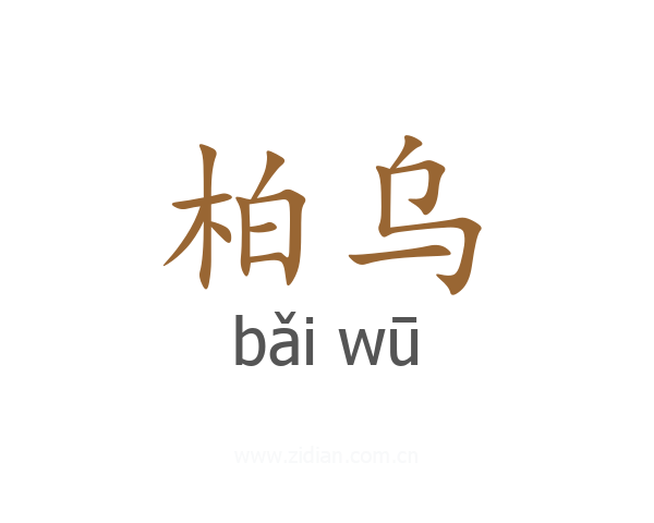 柏乌
