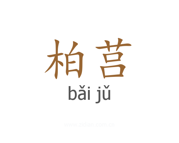 柏莒