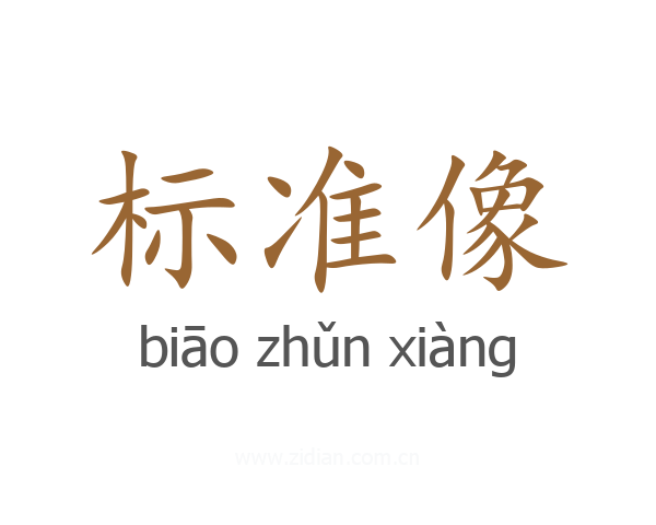标准像