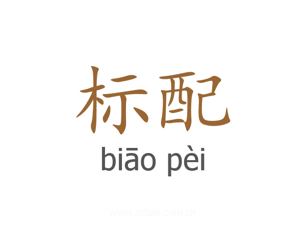 标配