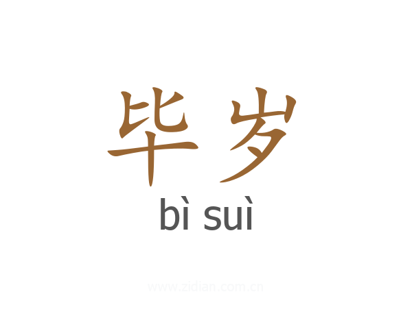 毕岁