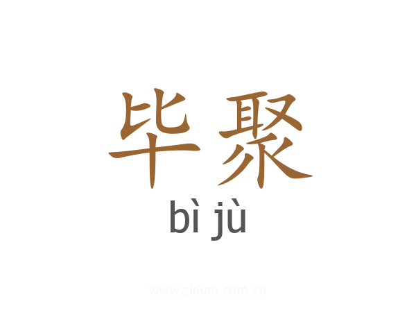 毕聚