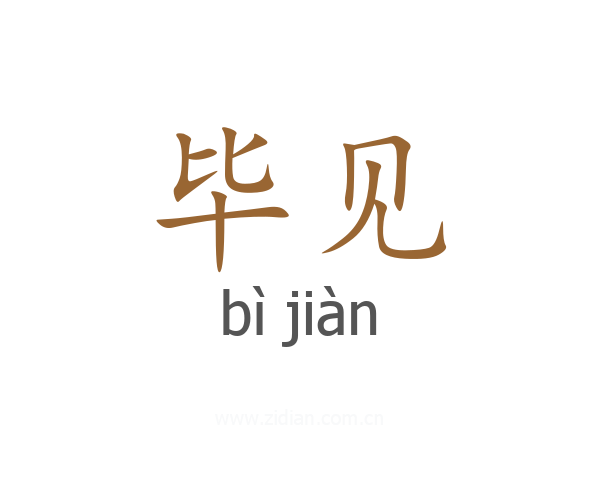 毕见