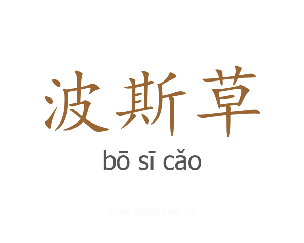 波斯草