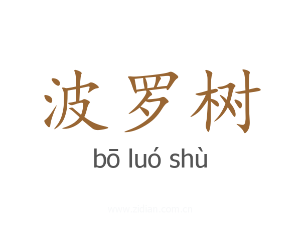 波罗树