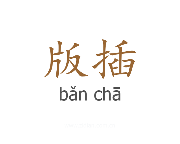 版插