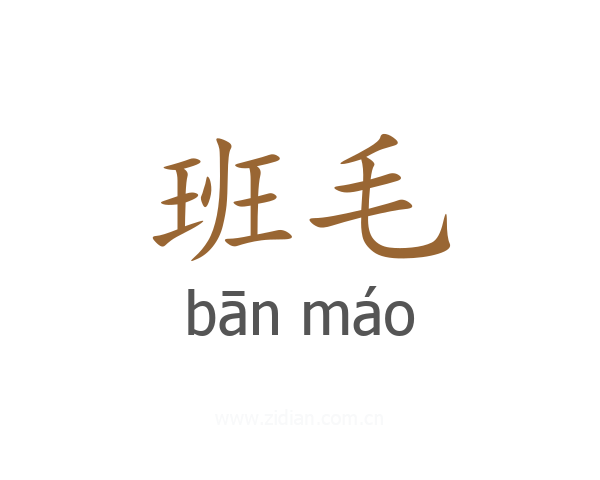 班毛