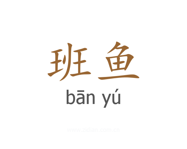 班鱼