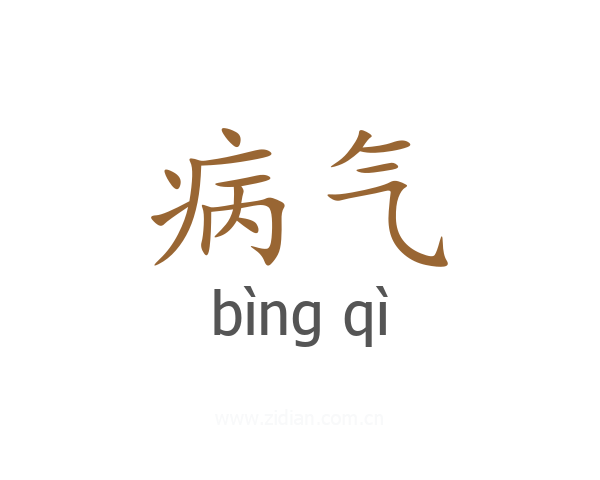 病气