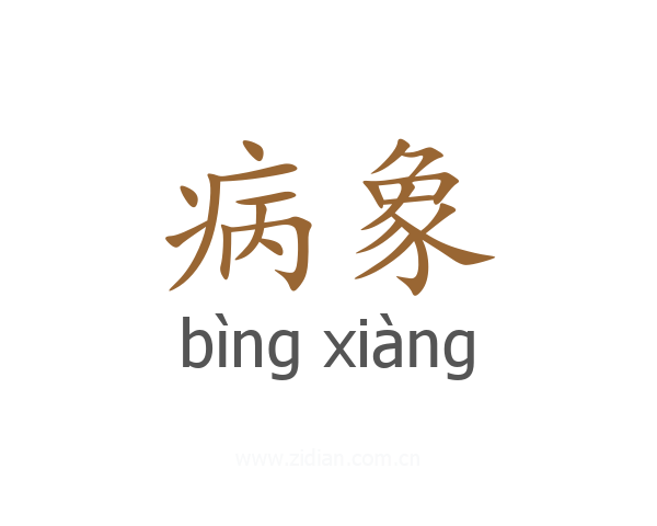 病象