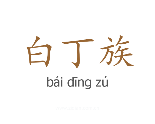 白丁族