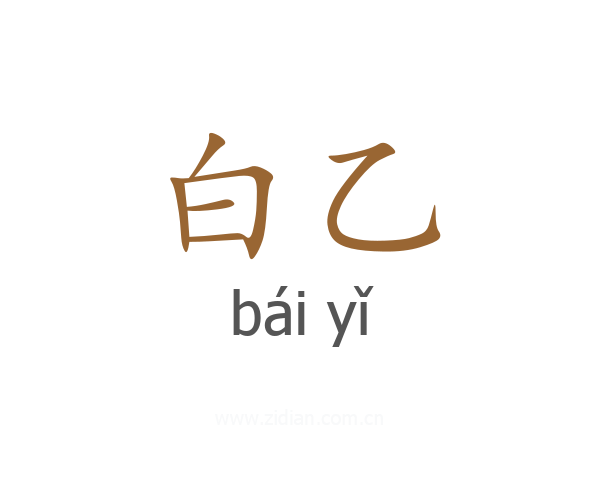 白乙