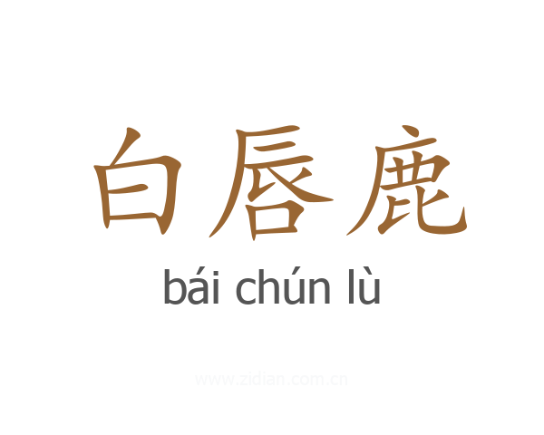 白唇鹿