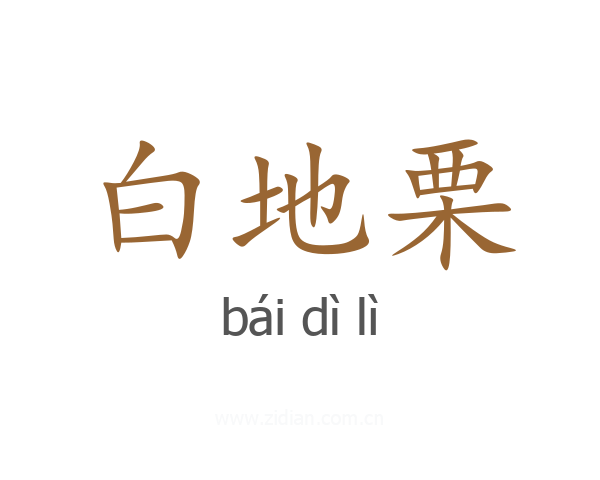 白地栗