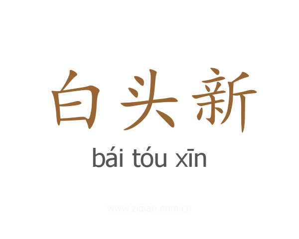 白头新