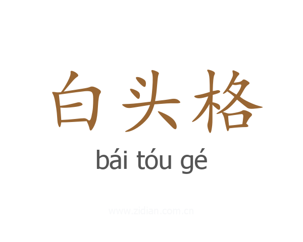 白头格