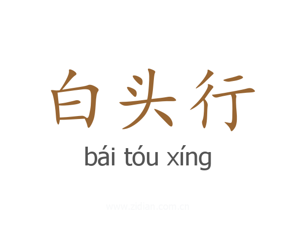 白头行