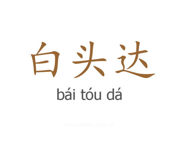 白头达