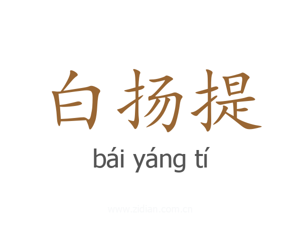 白扬提