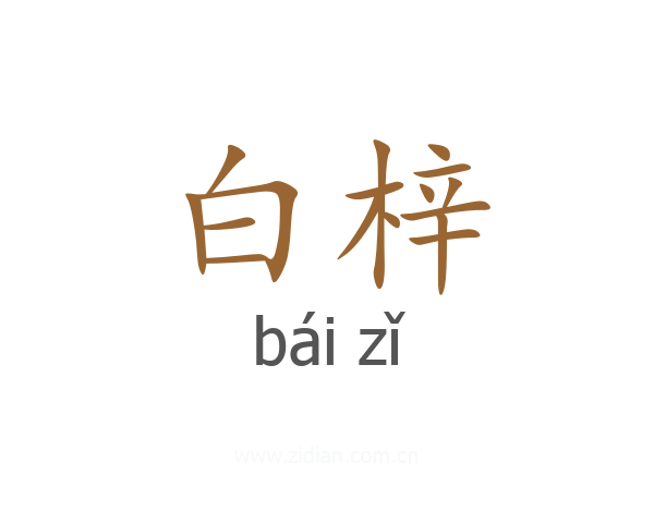 白梓