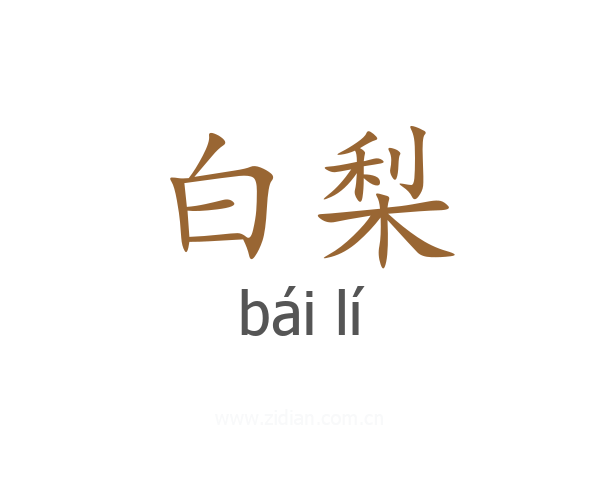 白梨