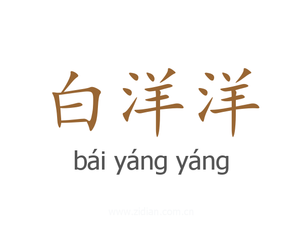 白洋洋