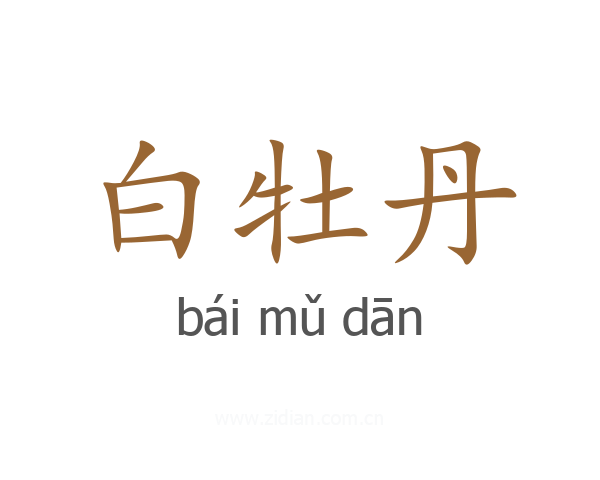 白牡丹
