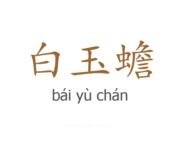 白玉蟾