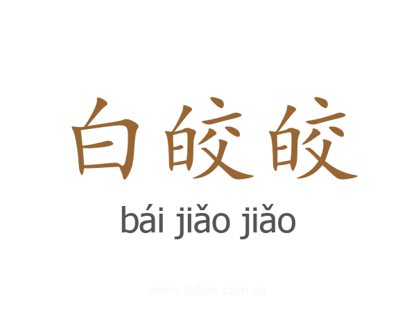 白皎皎